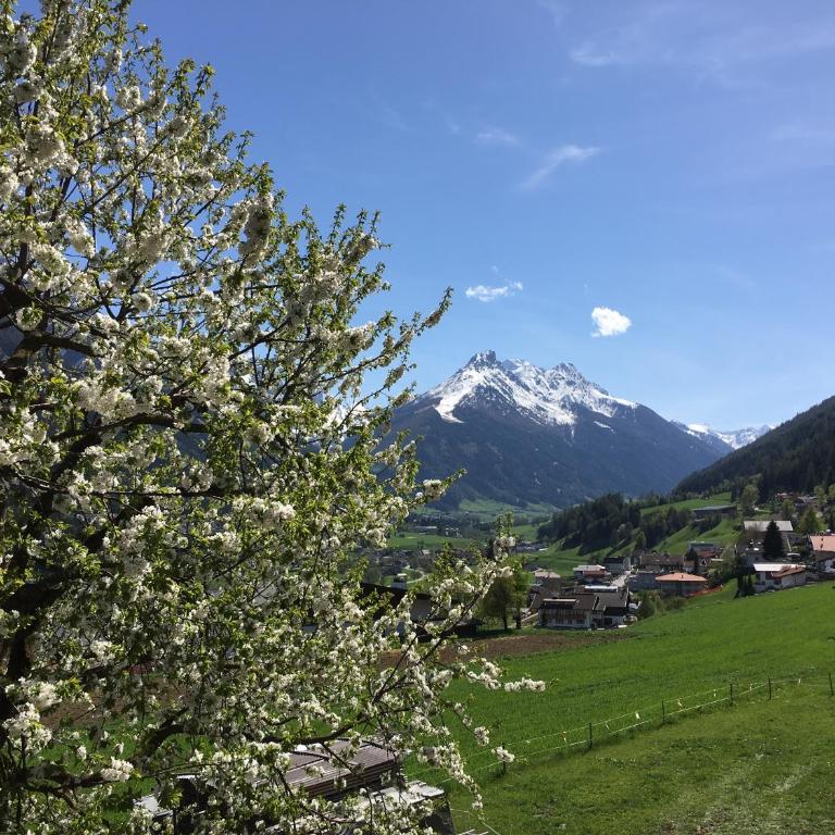 Buttererhof-Apartments - Apartment mit 2 Schlafzimmern und Balkon 1 - 16
