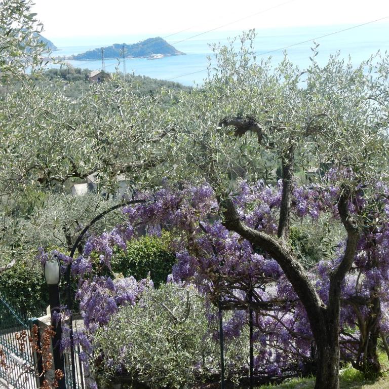 villa vista mare - Casa Vacanze - 1