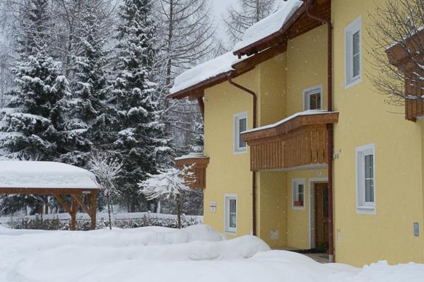 Haus Elisengrund am Geigenbuehel - chalet privé - Haus mit 4 Schlafzimmern - 51