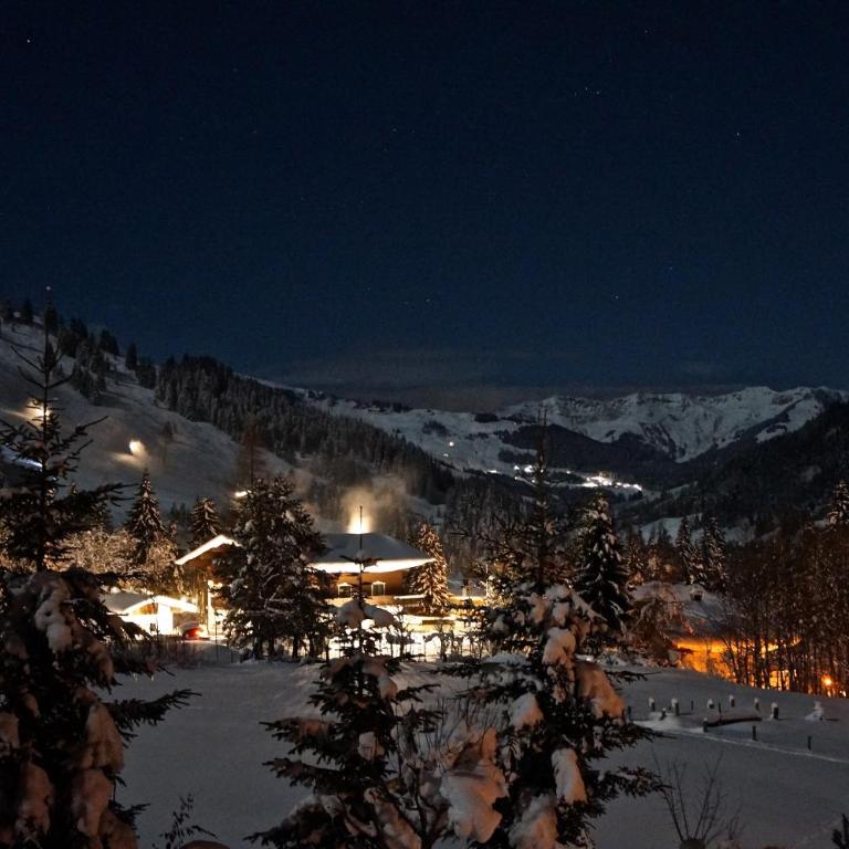 Ski Chalet Nomad - Superior Chalet - 46