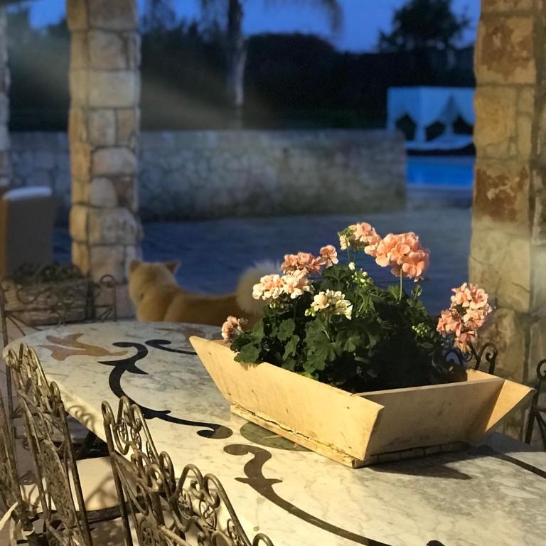 Mythos Holidays & Events - Casa Vacanze - 74