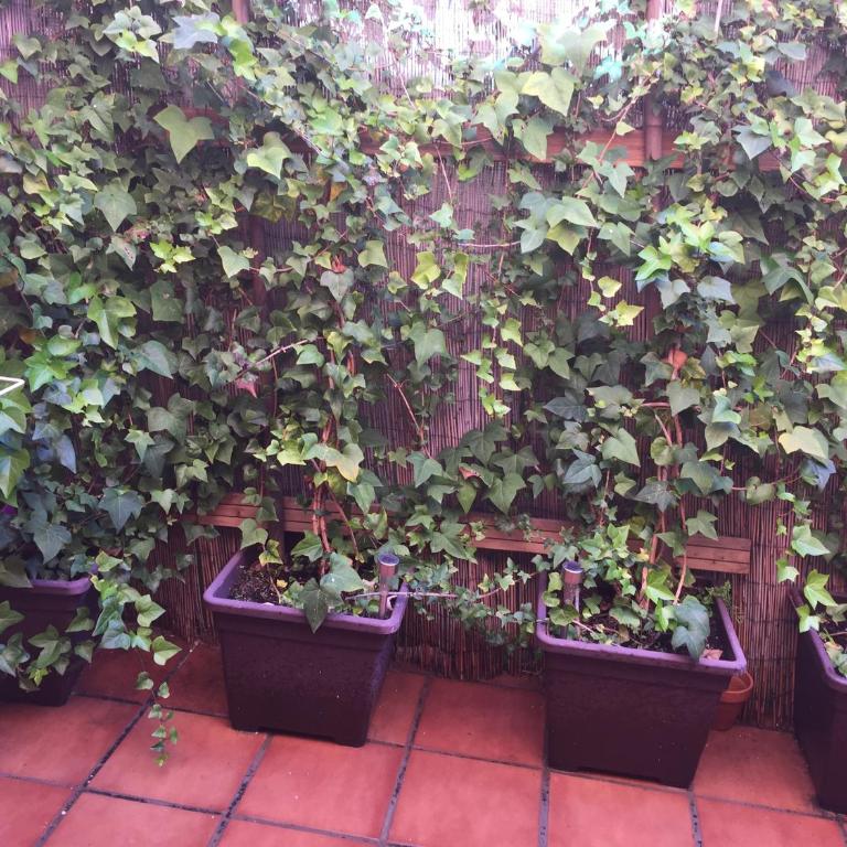 Bonito piso centro de Los Boliches - Apartamento - 16