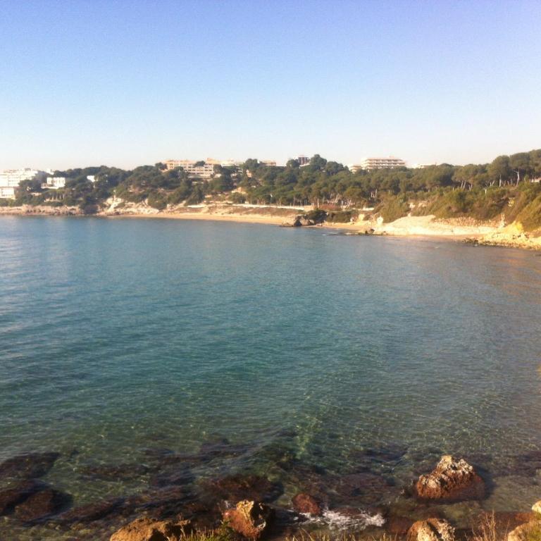 Entre Tres Playas Selectas - Apartment - 17