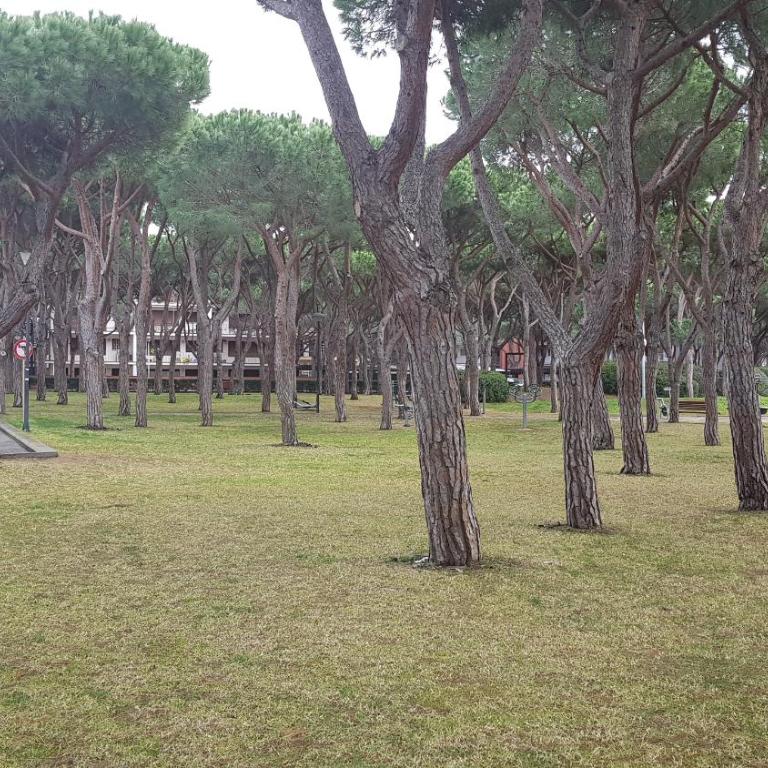 VILLAS COSETTE - Villa Triana - Casa - 56