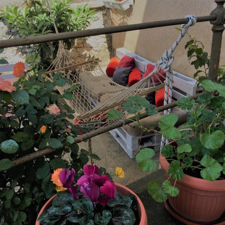 Hostel Musala - Krevet za Jednu Osobu u Četvorokrevetnoj Spavaonici - 2