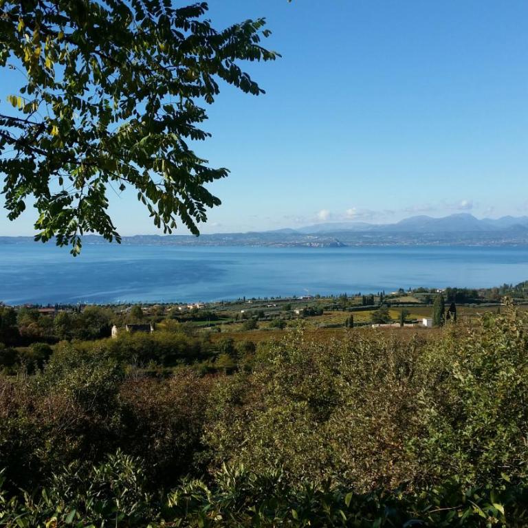 Residence Ai Vigneti With Pool - Appartamento con Vista Lago - 23