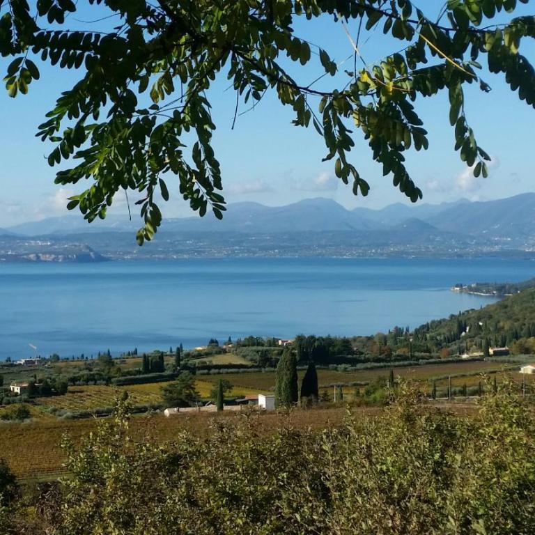 Residence Ai Vigneti With Pool - Appartamento con Vista Lago - 15