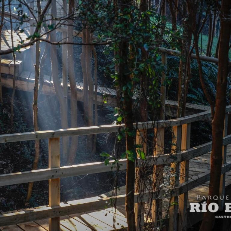 Parque Natural Rio Bravo Lodge - Superior Bungalow - 9