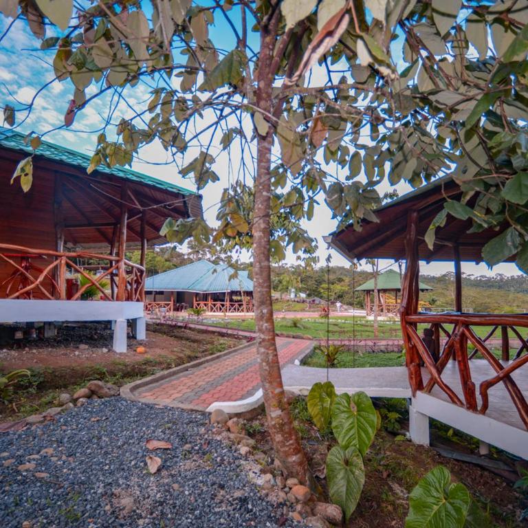 Hosteria Orkidea Lodge - Suite Junior Deluxe - 8