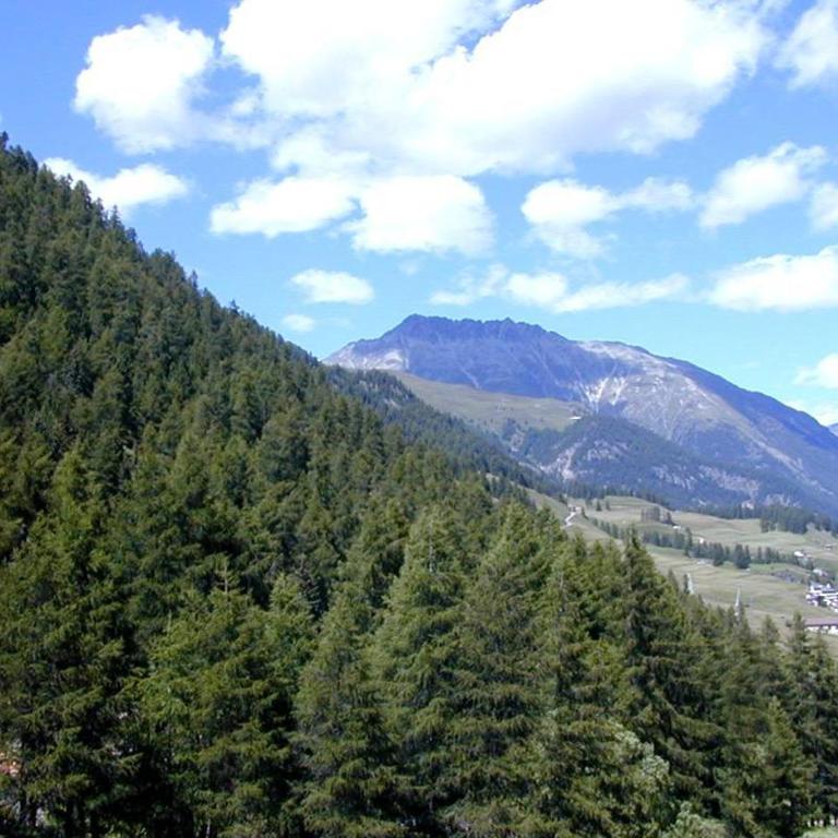 Ruinatsch 67 - Apartment mit Blick auf die Berge - 18