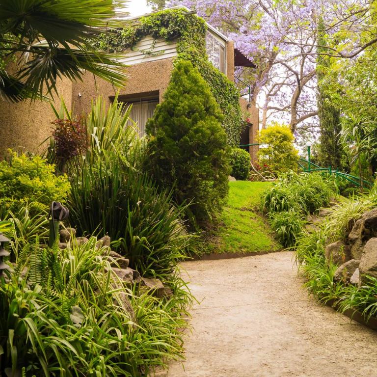 Suite 1-B El Rincón Garden House, Welcome To San Angel - Apartment - 28
