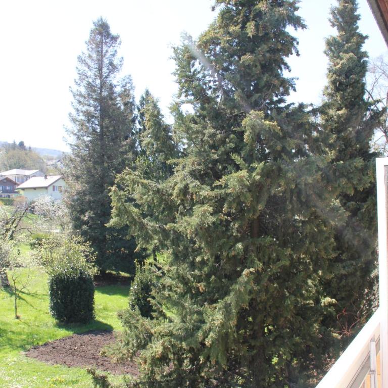 Hôtel Restaurant le Panorama - Chambre Double Confort - 9