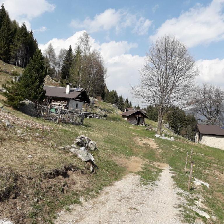 Baita Martin da Fist - Chalet - 38