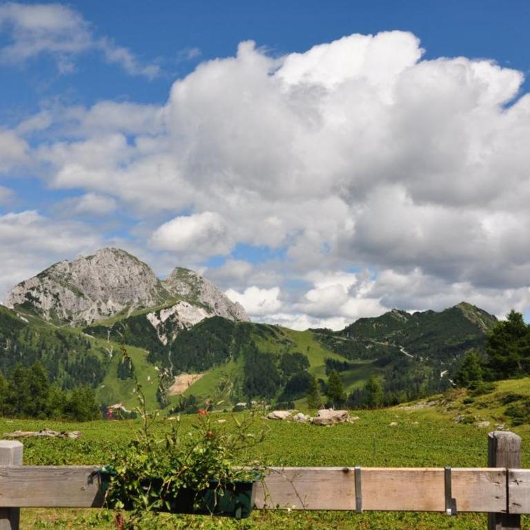 Ferienwohnung Villa Seeblick - Apartment - 24
