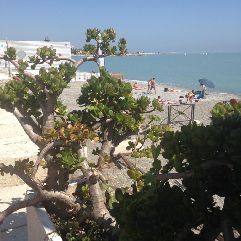 Le Cros de Cagnes - Apartment - 11