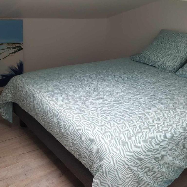 Appartement CAPBRETON face à l'océan sans vis à vis, avec piscine - Appartement - 12