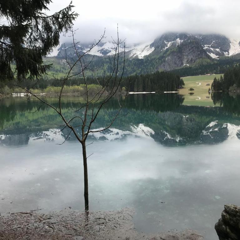 Berghaus Christel - bij skilift - grote tuin met bergbeek - Ferienhaus mit 3 Schlafzimmern - 60