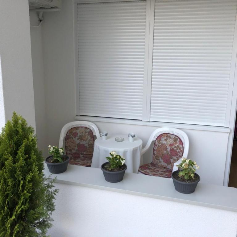 Apartman Jezdić - Apartman sa Terasom - 21