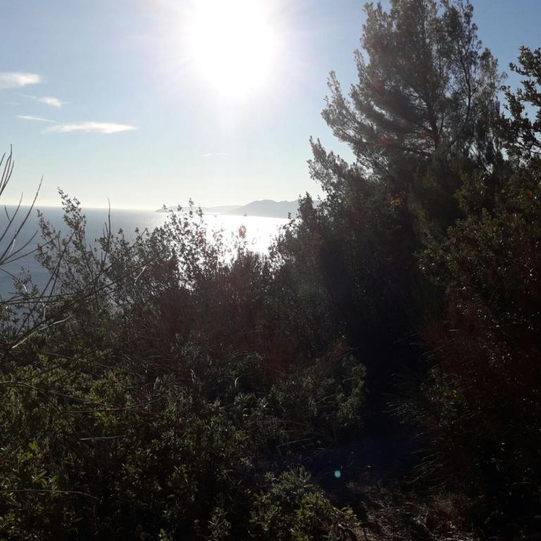 APARTMENT Aurora & Nicole IDEAL per bike 1 free parkings large e wi-fi free e x family mtb climbing con terazza vista mare - Appartamento con Balcone - 49
