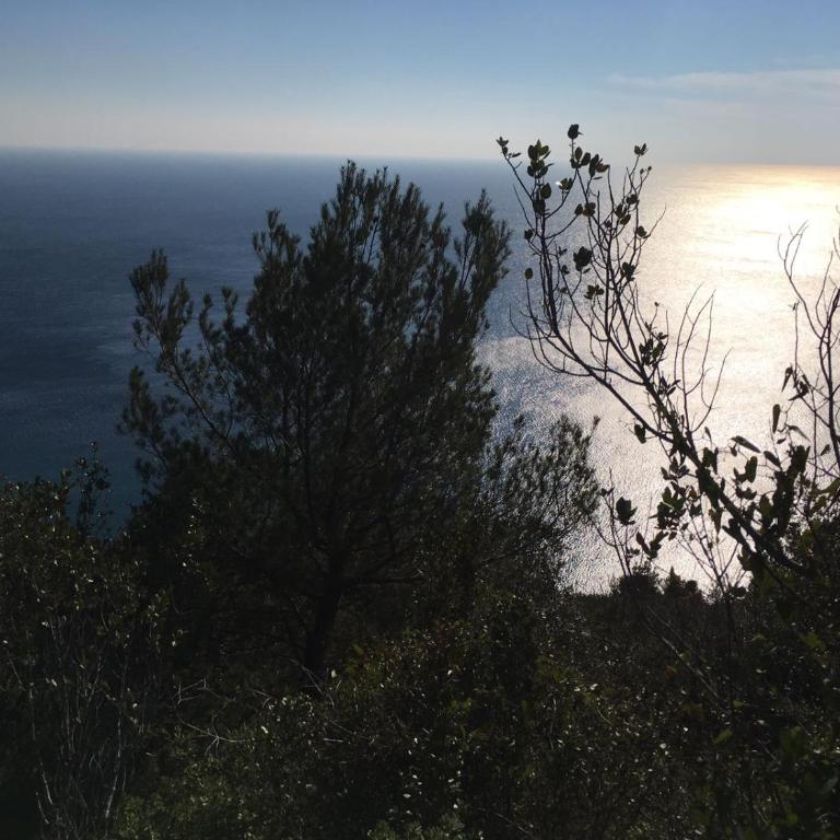 APARTMENT Aurora & Nicole IDEAL per bike 1 free parkings large e wi-fi free e x family mtb climbing con terazza vista mare - Appartamento con Balcone - 48