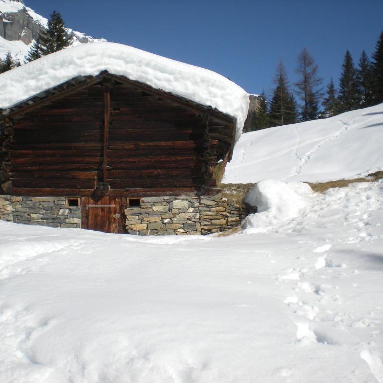 Haus Marmotta - Apartamento con vistas a las montañas - 10