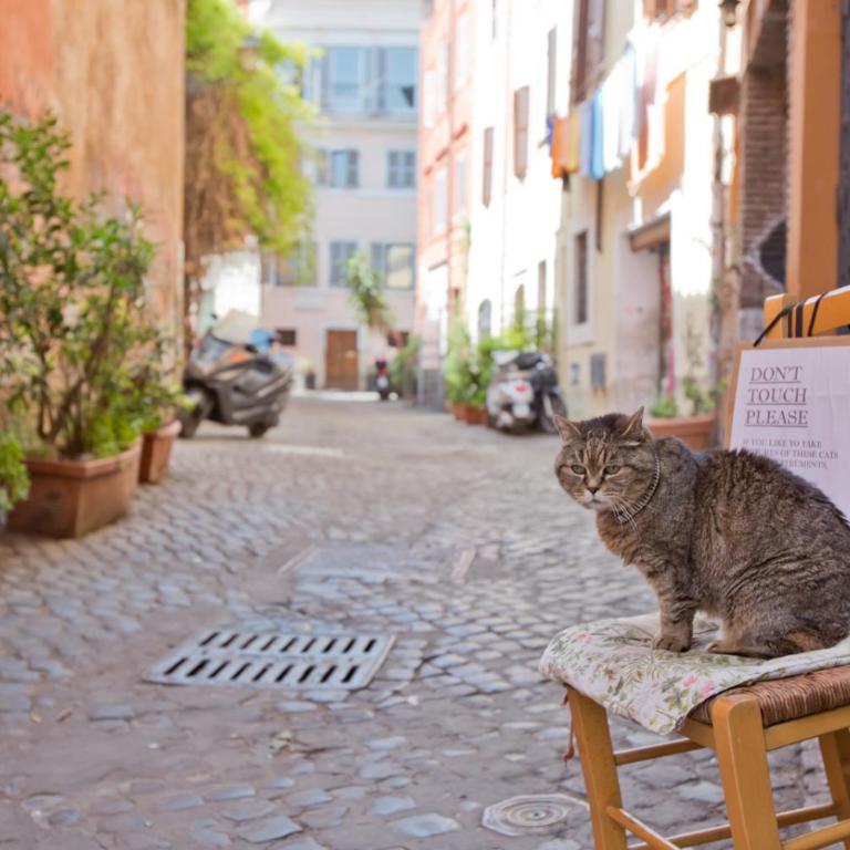 L'Agata (Trastevere) - Casa Vacanze - 74