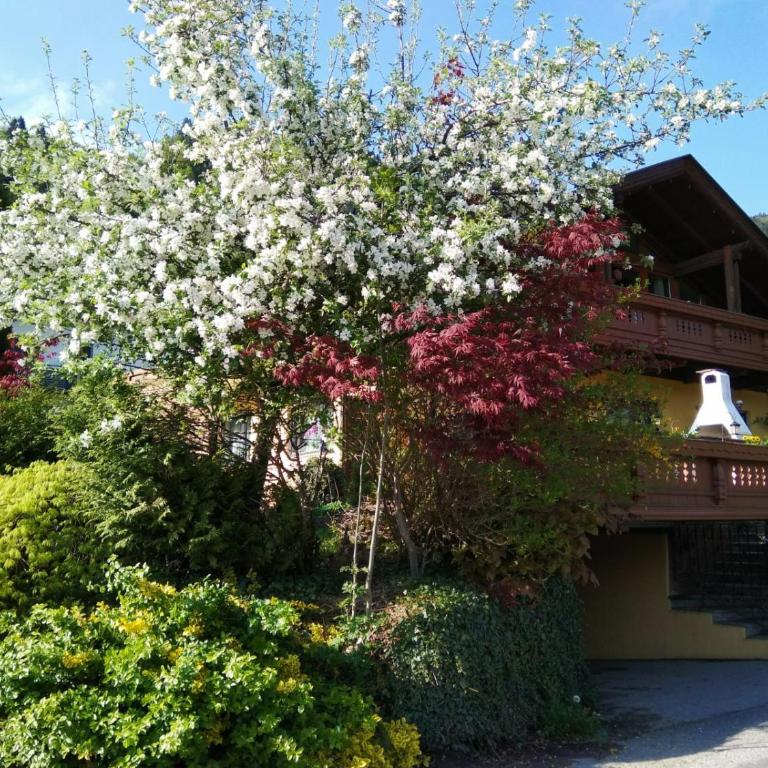 Ossiachersee Apartments - Apartment - 6