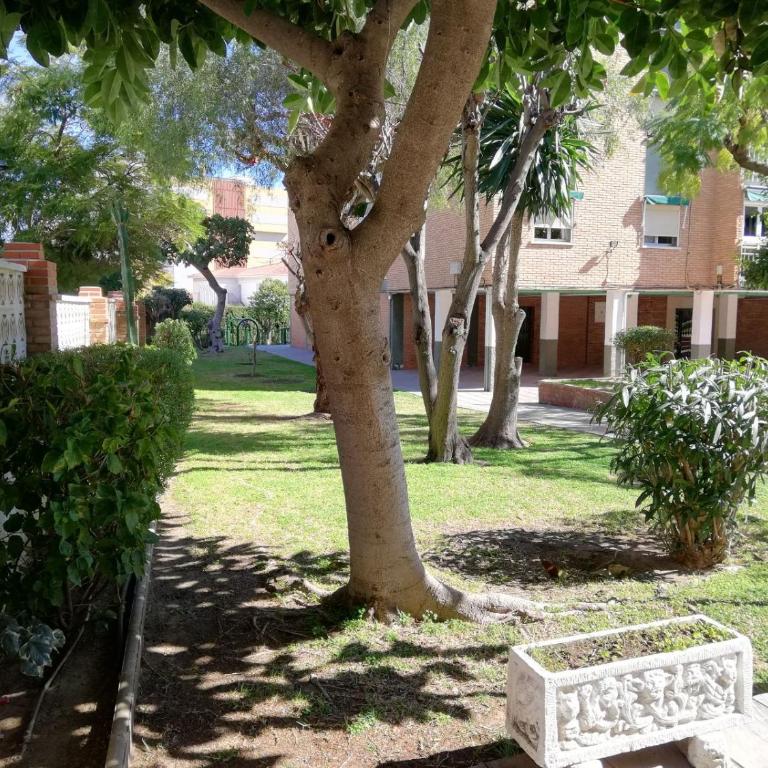 Apartamento Aurora - Apartamento - 61