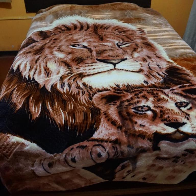 Tour Hostal Wanka - Habitación Doble con baño privado - 5