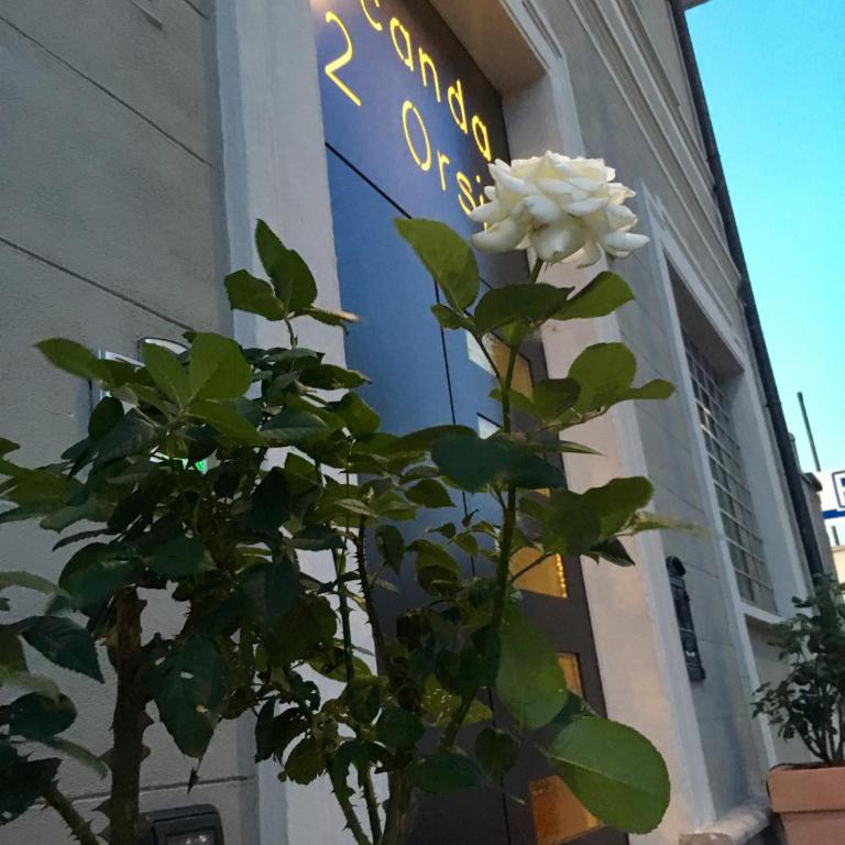 Locanda Ai Due Orsi - Deluxe Double or Twin Room - 1
