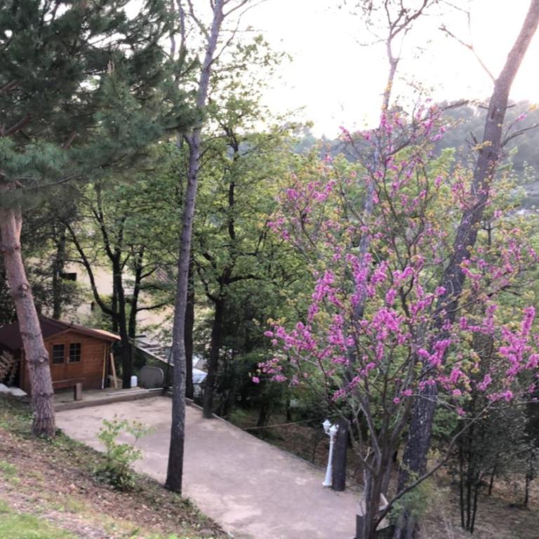 Villa Golf les Cigales - Villa avec Piscine Privée - 19