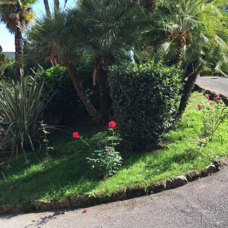 Villa il Parco - Appartamento con Vista Giardino - 9