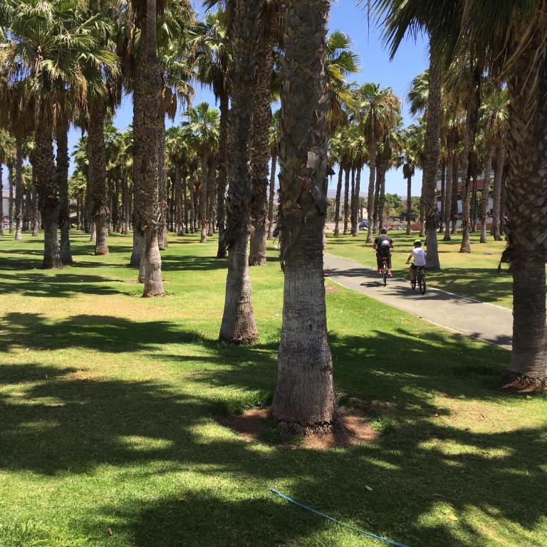 Beach Flor Bungaló 42 La Gema del Sur - Apartamento con terraza - 88