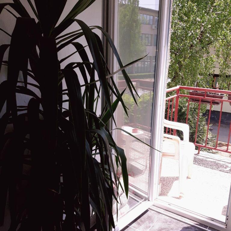 Apartment Sim - Apartman sa 1 Spavaćom Sobom - 19