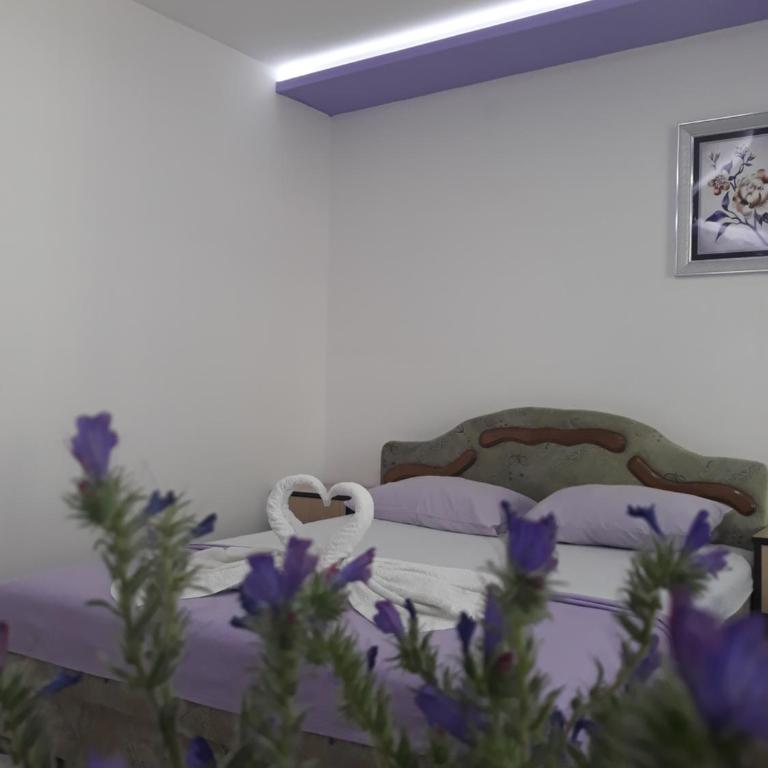 Apartments Aza - Standard Apartment - 11