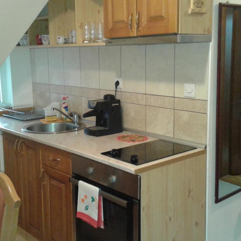 Apartman Joca Zlatibor - Apartment - 7
