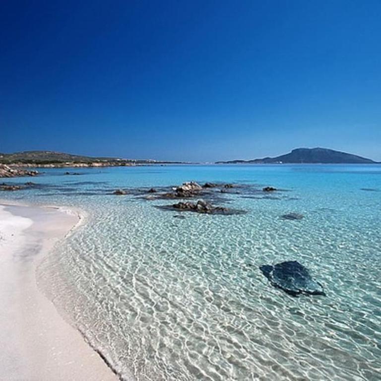 casavacanza golfo aranci - Vacation Home - 28