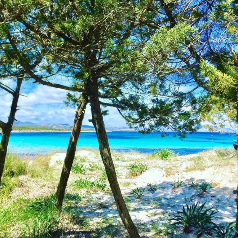 casavacanza golfo aranci - Vacation Home - 22