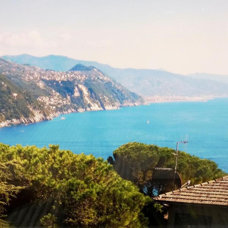 BLU GARDEN FLAT private parking - Appartamento con Vista Giardino - 43