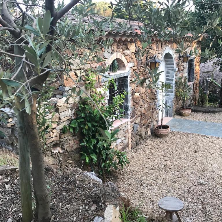 La Maison des Oliviers - Doppelzimmer mit Gartenblick - 9