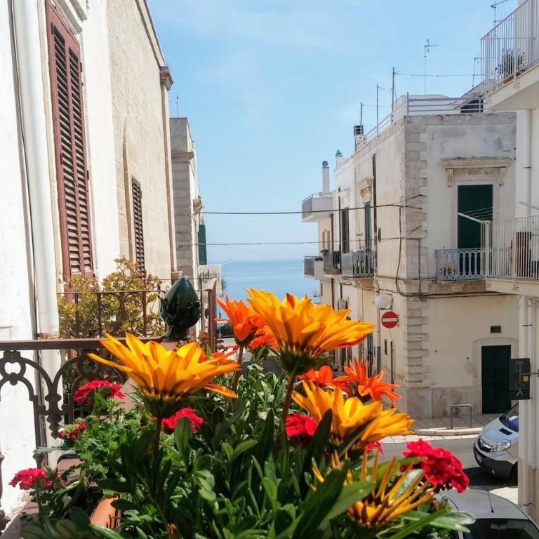Torres Suite - Suite con Terrazza - 13