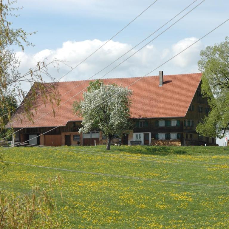 Altes Schulhaus - Apartment mit 4 Schlafzimmern - 42