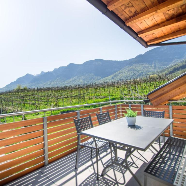 Ferienwohnungen Gatscher - Apartment mit Terrasse - 6
