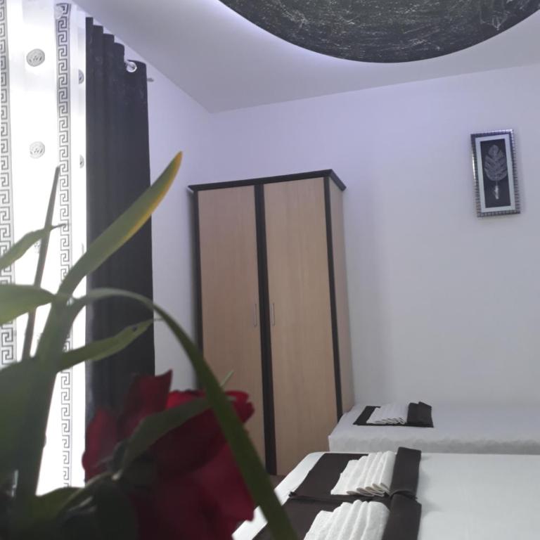 Apartments Aza - One-Bedroom Apartment (3 Adults) - 6