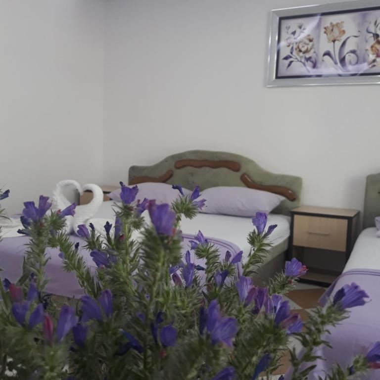 Apartments Aza - Standard Apartment - 4