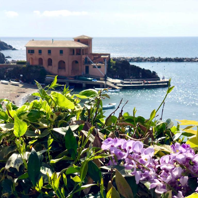 Via Dante Vacanze - Levanto - Appartamento - 24
