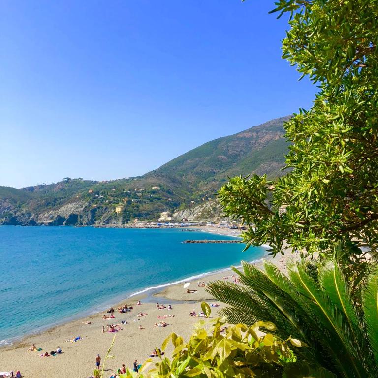 Via Dante Vacanze - Levanto - Appartamento - 3