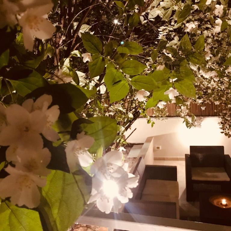 Aruna Suites - One-Bedroom Apartment with Garden - 14