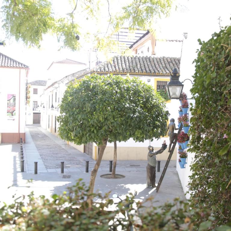 Los Tejares del Alcazar - Apartamento - 33