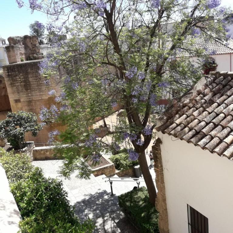 Los Tejares del Alcazar - Apartamento - 35